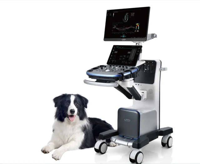 Vetus 9 Veterinary Diagnostic Ultrasound System Premium Care for Animal with Powerful ZST+ Platform