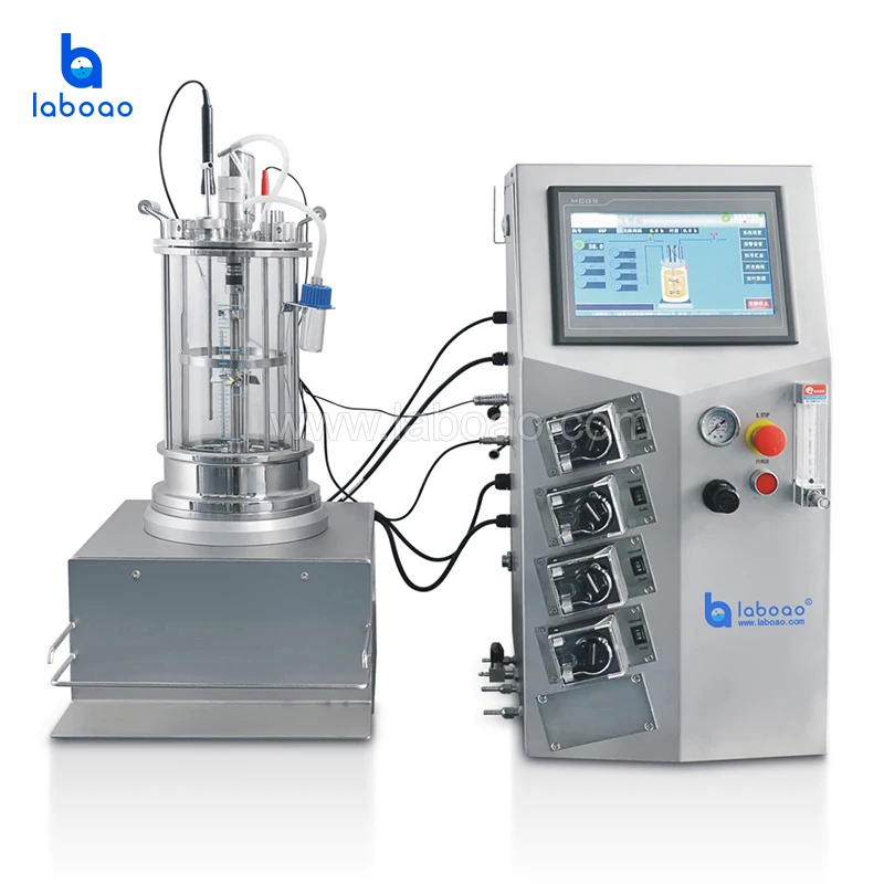 LABOAO Lab Scale 5L Bioreactor Fermenter Elevate Your Cell Culture Research with Precision Control