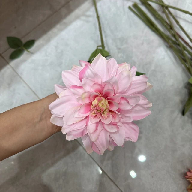 65cm Dahlia Craft Christmas Graduation Chinese New Year Halloween New Year Valentine's Day Easter Mother's Day Thanksgiving