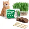 Kit d'herbe à chat