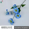 Pivoine Papillon BD Bleu