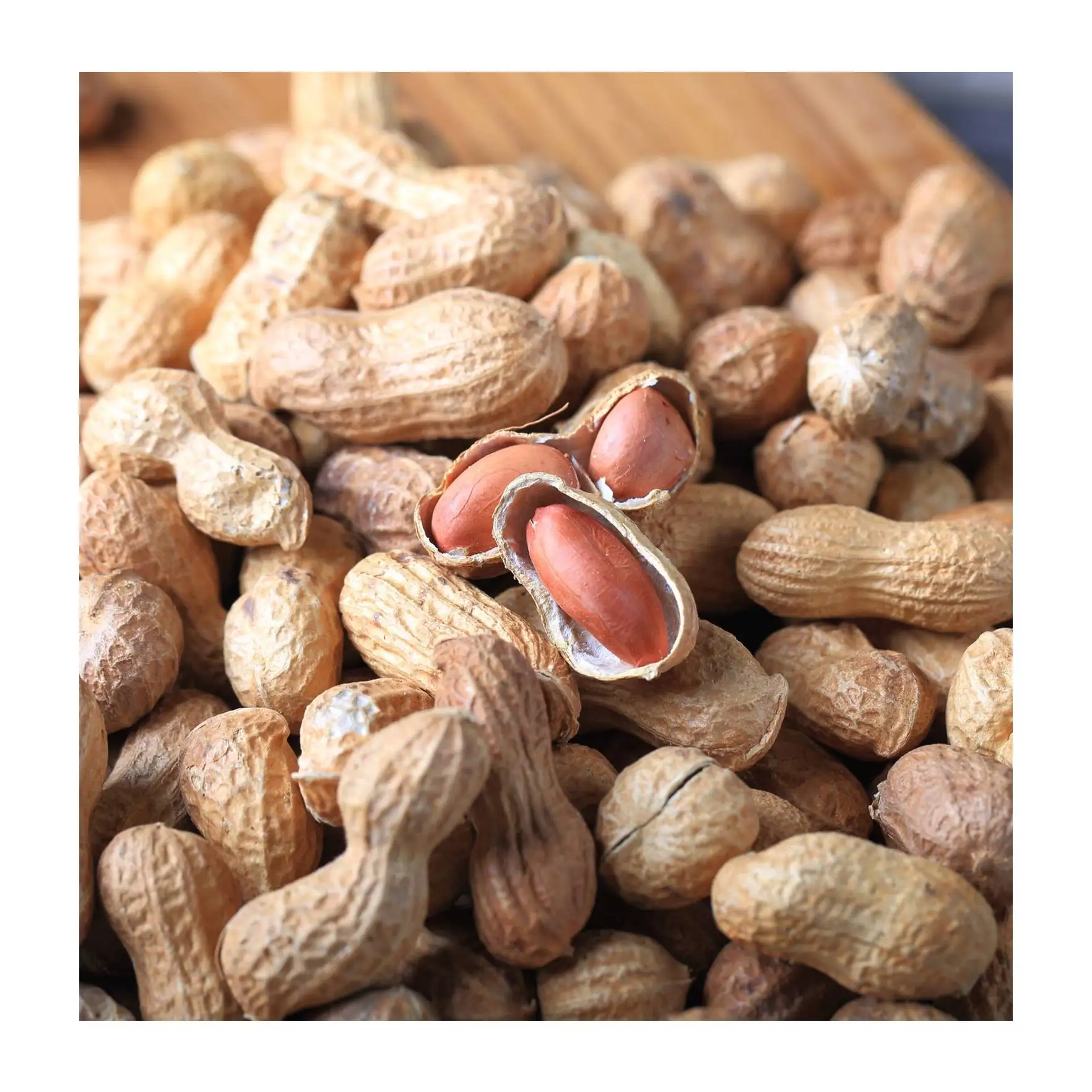 High Quality Raw Peanuts Without Shell Raw Peanuts Blanched Peanut