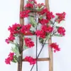 Locust flower branches, rose red