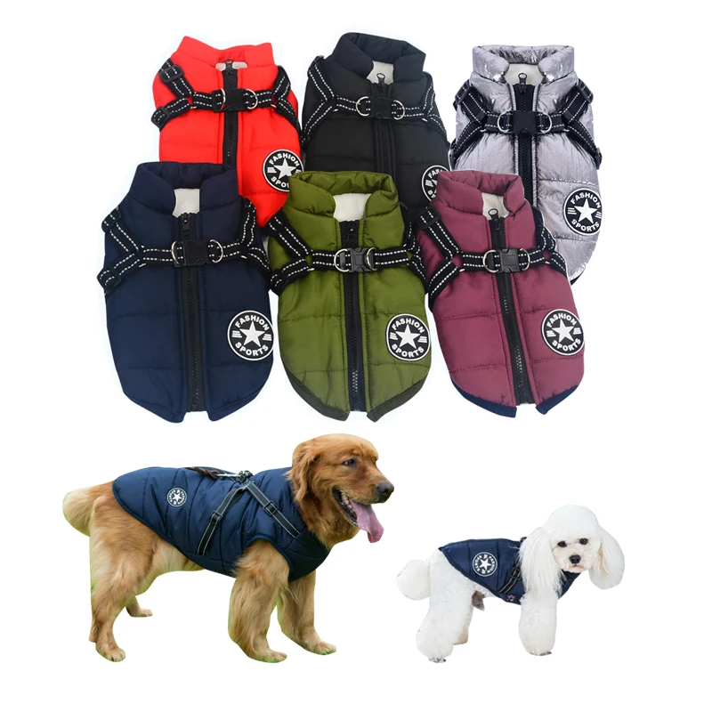 designer dog vest