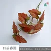 11 Lluvia de primavera JH Rojo