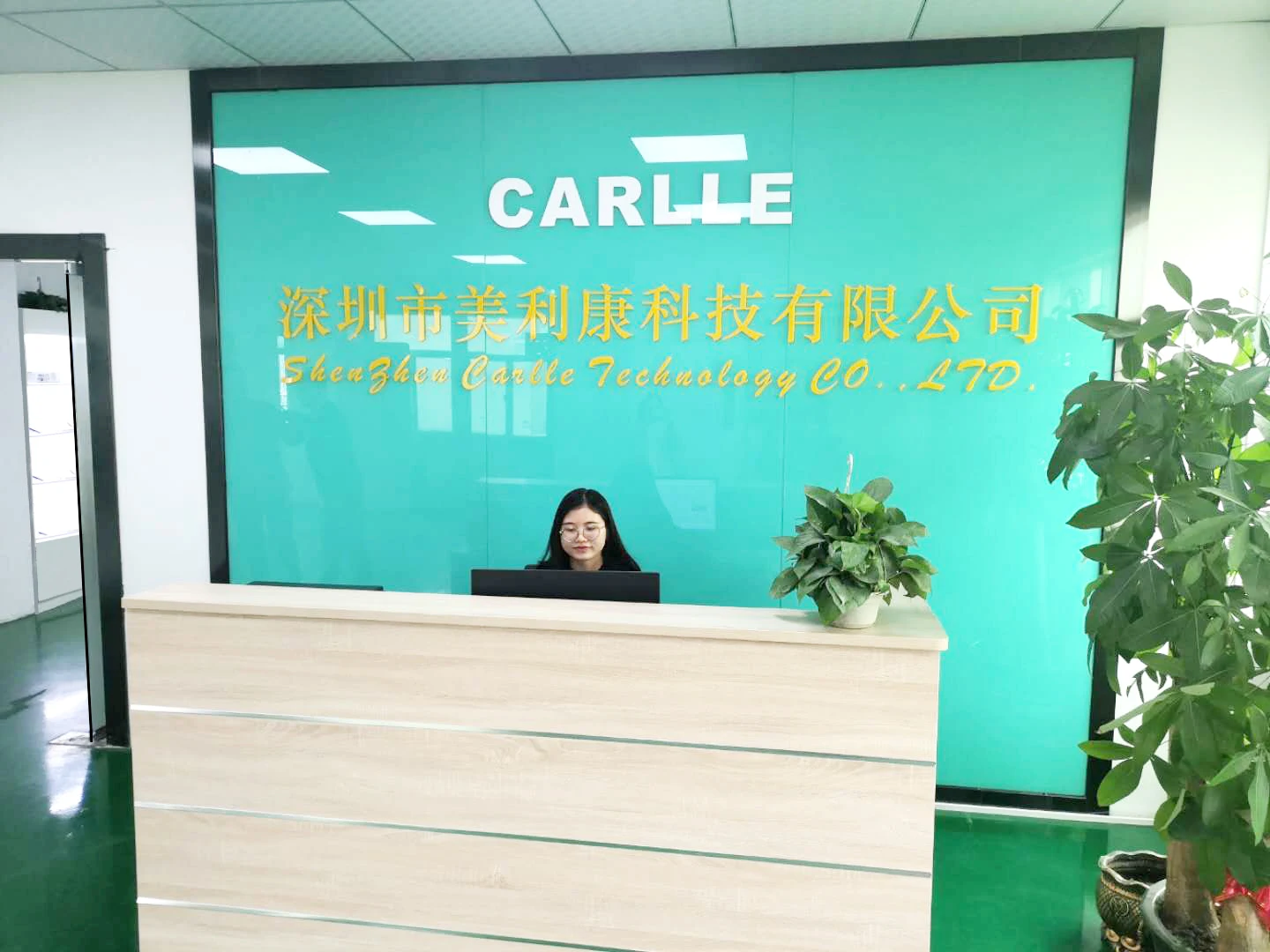 Shenzhen Carlle Technology Co., Ltd.