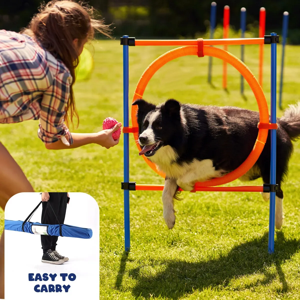 Pawise Pet Dogs Outdoor Games Agility Exercise Training Adjustable Height  Jumping Ring Pet Agility Training Equipment for Dogs