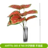 8 hojas de taro de colores