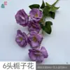 Gardenia HN de 6 cabezas, violeta claro