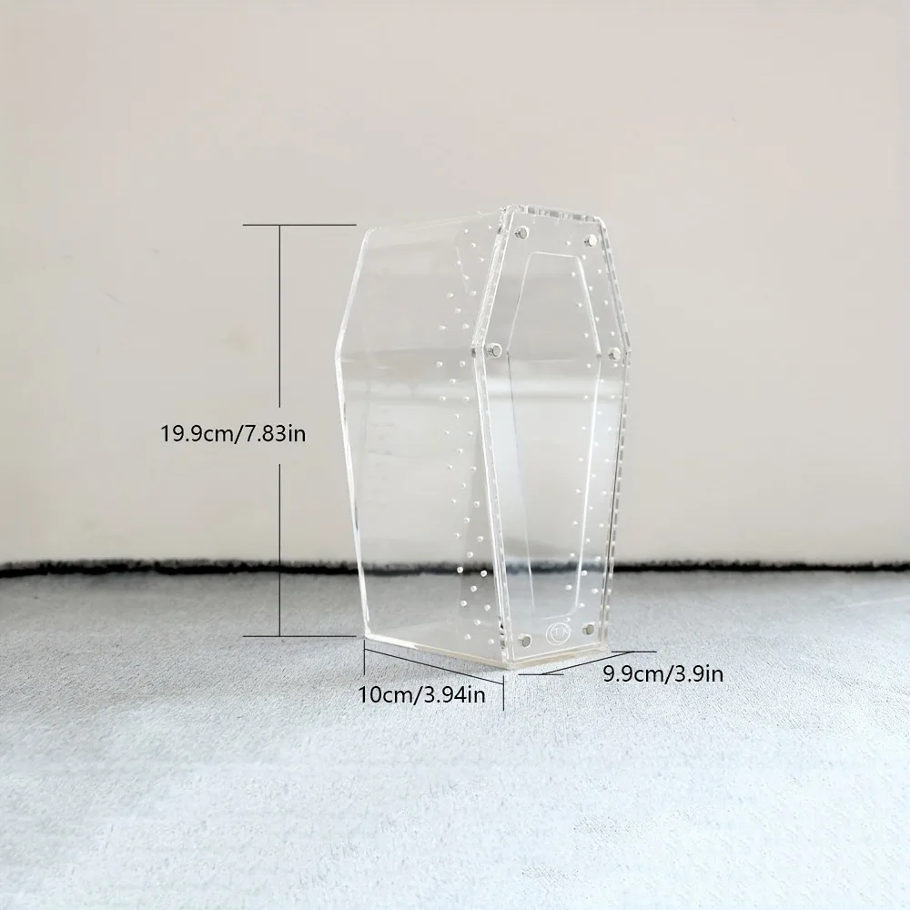 product acrylic jumping spider habitat versatile reptile enclosure transparent insect terrarium habitat for spiders tarantula gecko-6