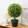Small Eucalyptus Potted Single Ball 50cm