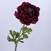 burgundy 6