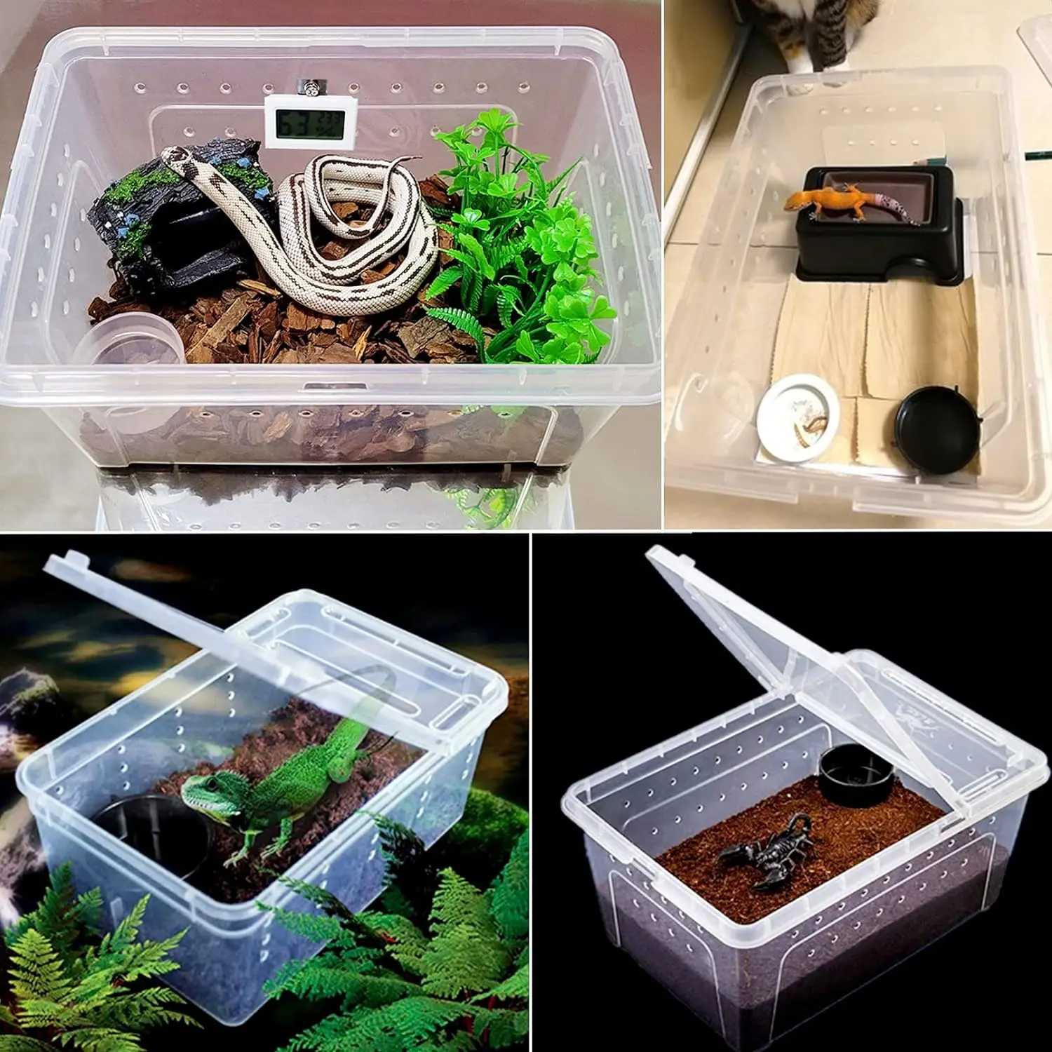 Reptile Feeding Box Snake Breeding Box Transparent Animal Habitat Cage ...