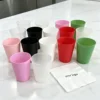 Ciruela