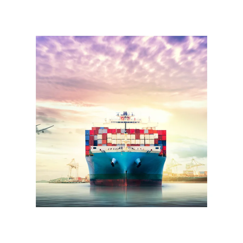 sea freight china to IN freight forwarder