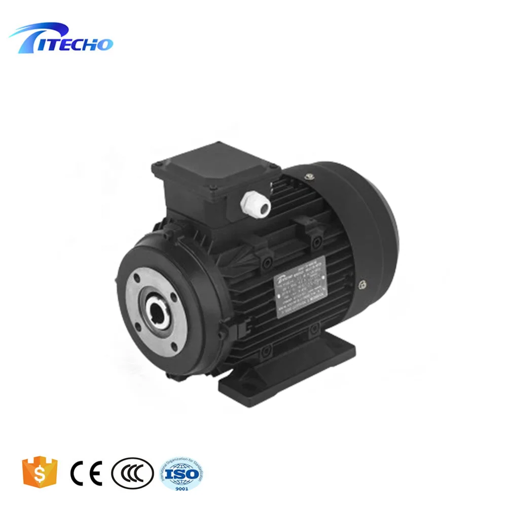 High Pressure Cleaning Machine Hollow Shaft Motor