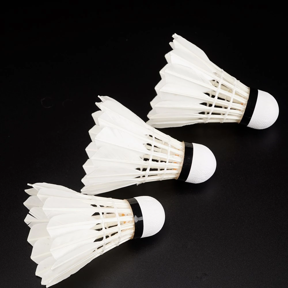 Wprofessional 12pcs High Quality Protech Rsl Badminton Shuttlecock Chaonell a 6 Type Malaysia