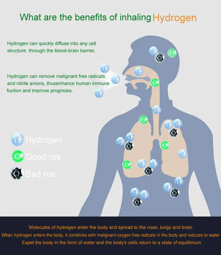 Portable Hydrogen Inhalation Machine with 99.99% Purity and 900ml/min Flow for Medical Grade Therapy