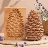 Piña de pino - 13 x 8 x 2 cm - 125g