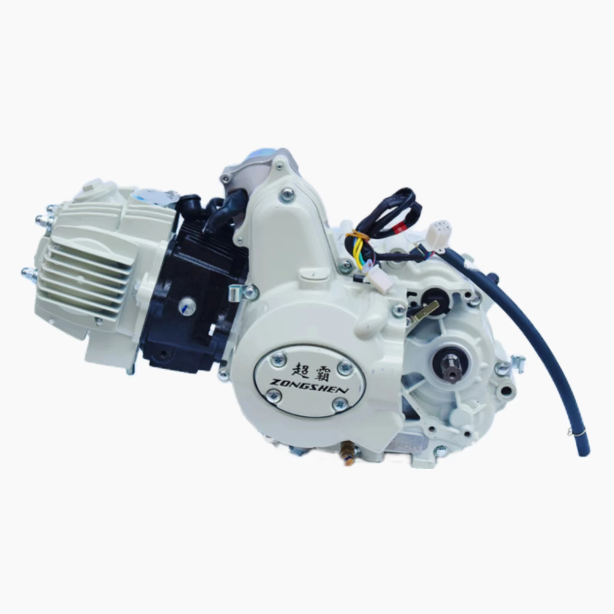 OEM-Chinese-Motorcycle-Engine-