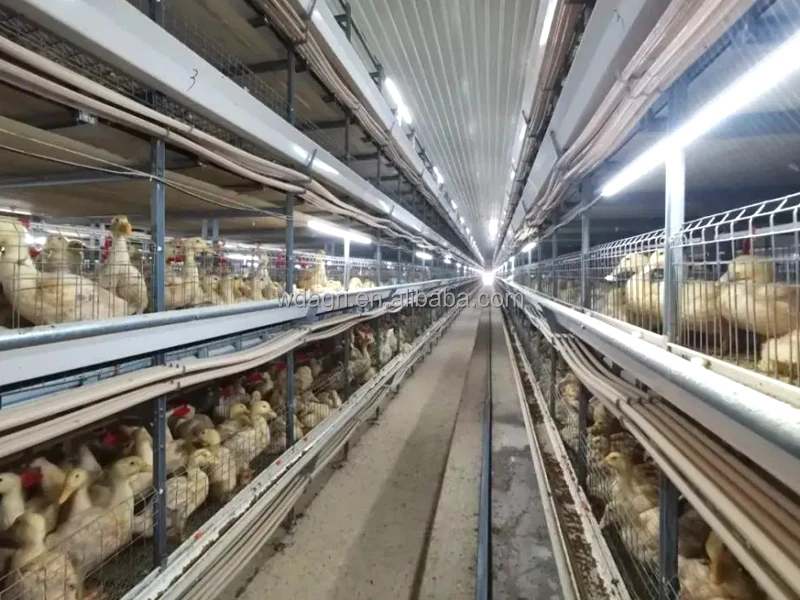 72 Inch Large Air Ventilation Cooling Exhaust Fan For Cow/cattle Calf