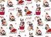MAY-JDSD-DOG-WHITE-1R17-5M