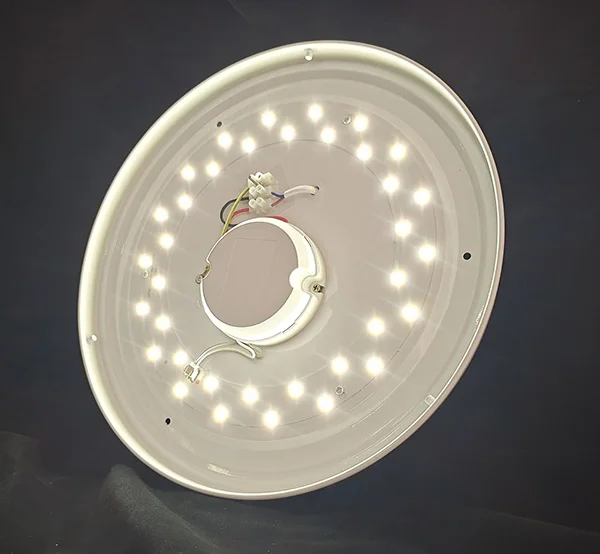 emergency ceiling light.jpg