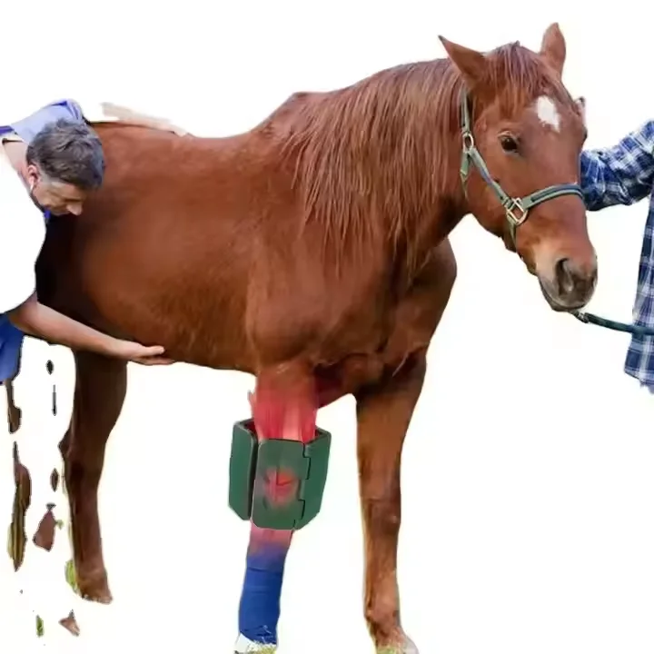 Professional Veterinary Instrument Health Deep Penetration Infrared Device Red Light Horse Therapy Time Control