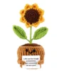 Yellow  sunflower