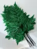 Deep green