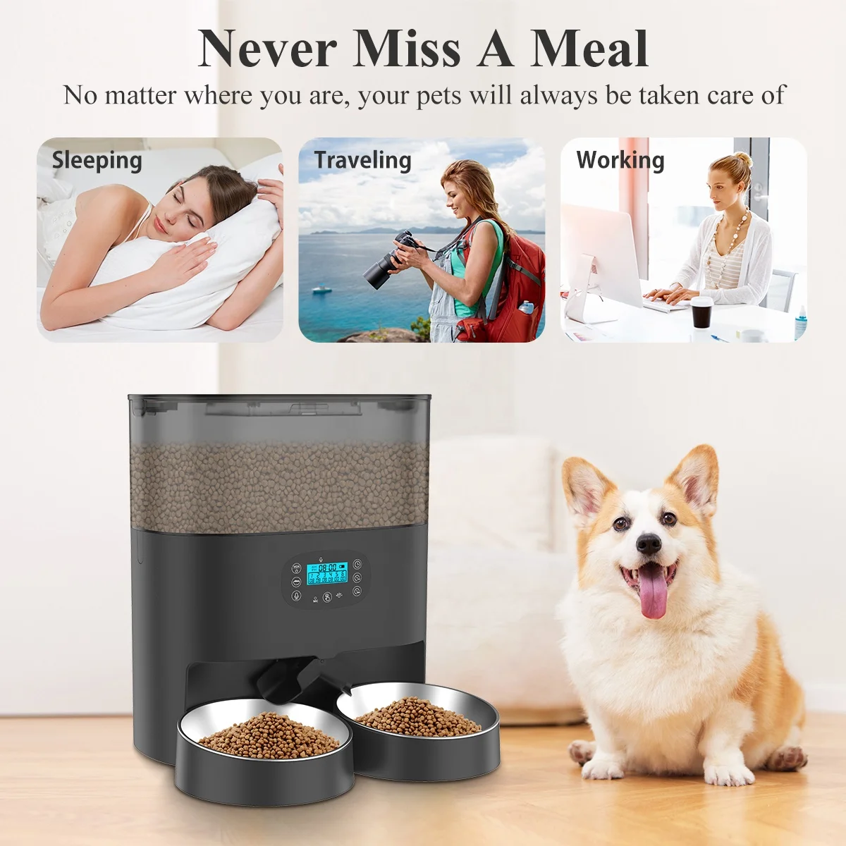 Factory Direct Sell Feeder for Dogs Cat Automatic Programmable Pet Feeder for Animals Battery Powered Feeder
