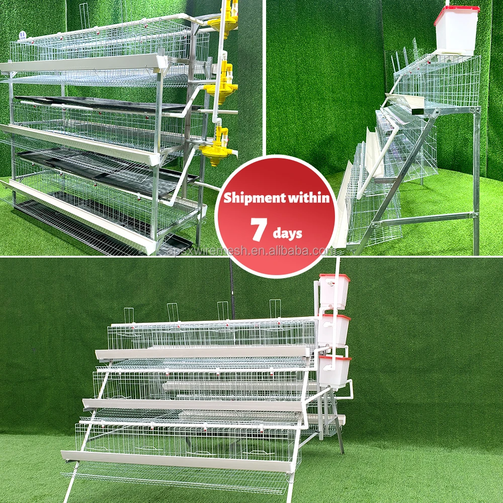 Semi-automated Poultry Breeding Machine Type a Layer Egg Chicken Cage for Farm
