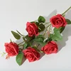 5 Paris Roses