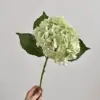 Vert clair