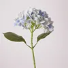 Huella de mano coral mágico hortensia-azul