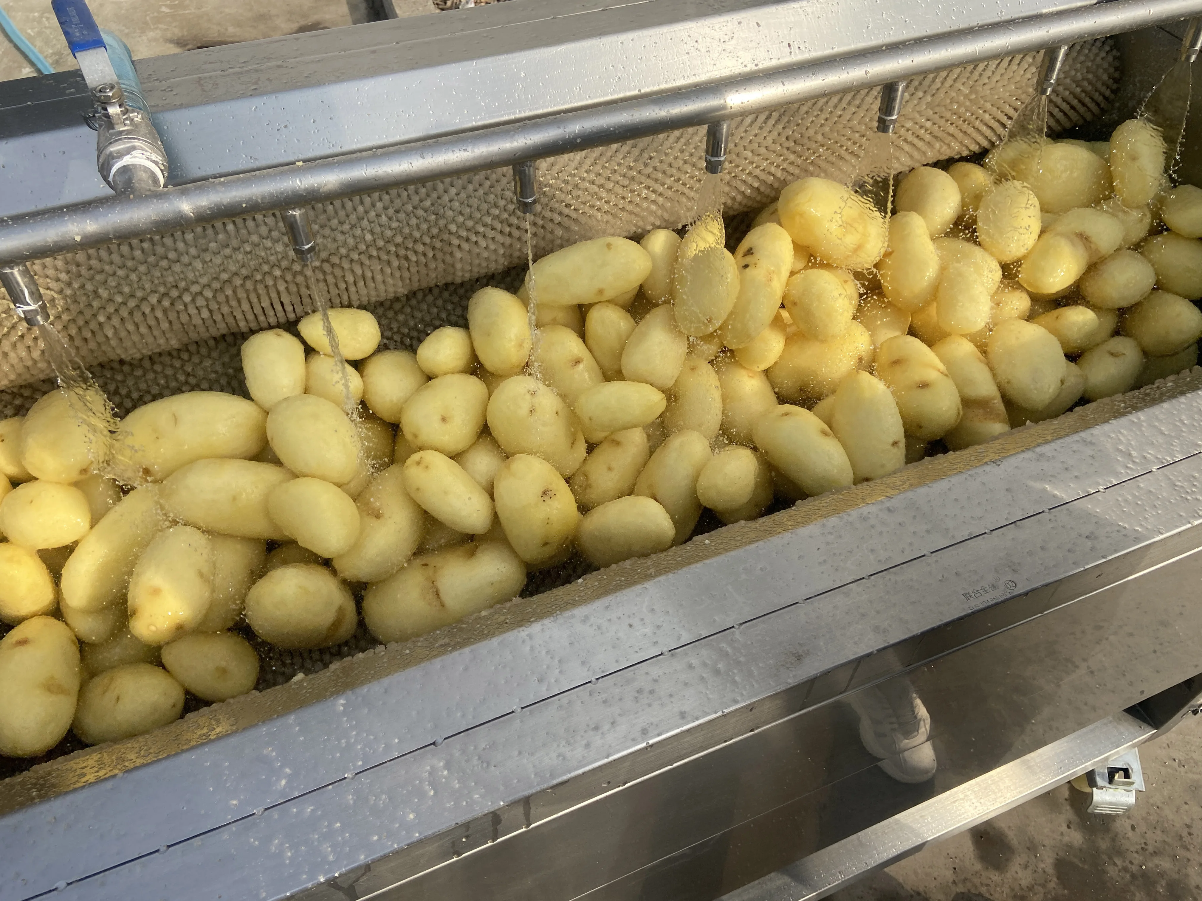 Multipurpose Brush Roller Machines for Washing and Peeling Potatoes Vegetable Fruit Sweet New Product 2020 Provided Wash Fruit
