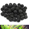 Biosfera