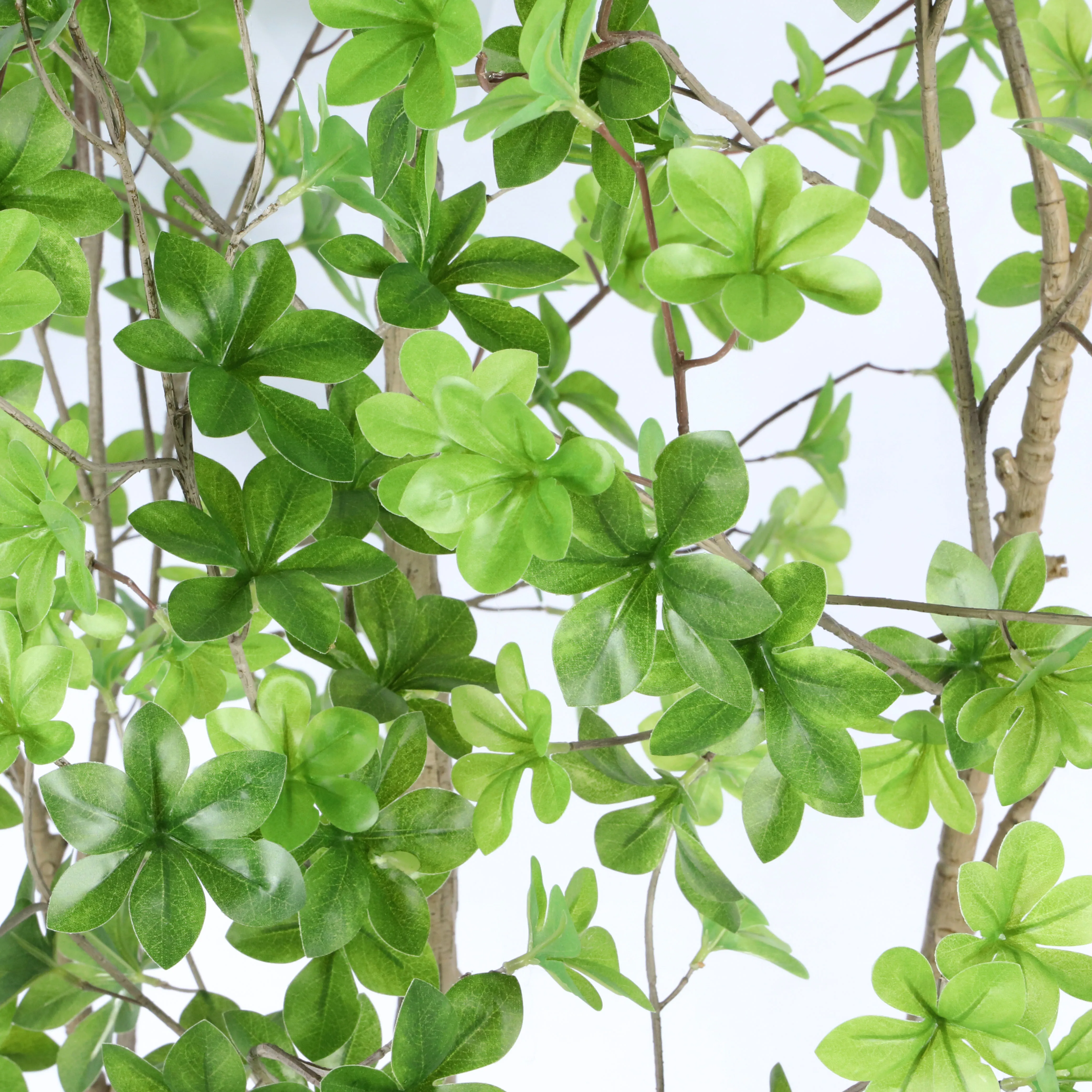 Tall Artificial Enkianthus Potted Milan Leaf Tree Formal Indoor Faux