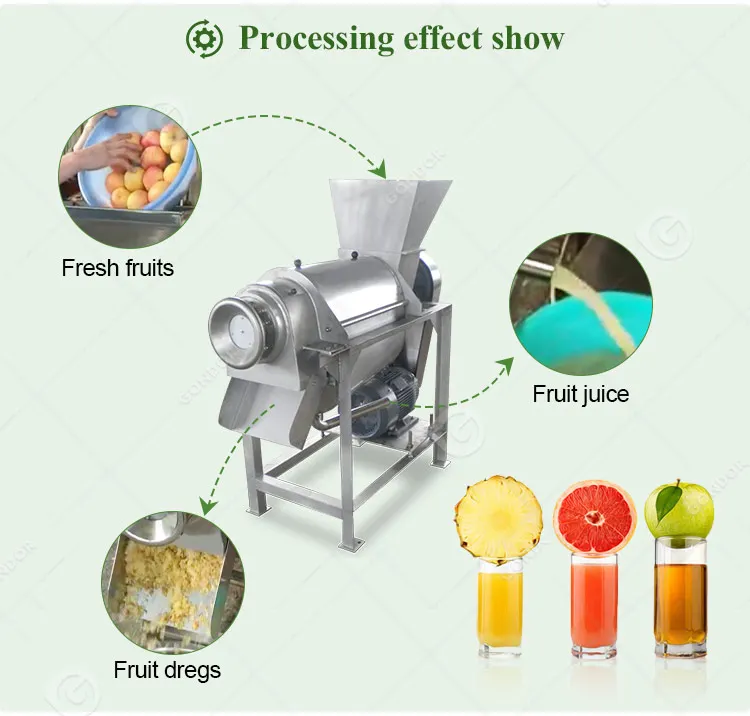 Industrial Bitter Gourd Guava Pineapple Juice Extractor Machine Presse Jus Orange Cool Press Juicer