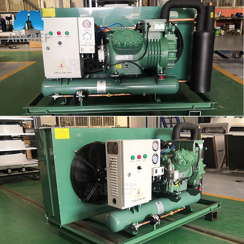 Arkref Cold Room Cold Storage High Performance Two Stage Bitzer Compressor Air Cooled Condensing Unit