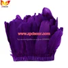 Pourpre