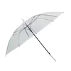 clear umbrella