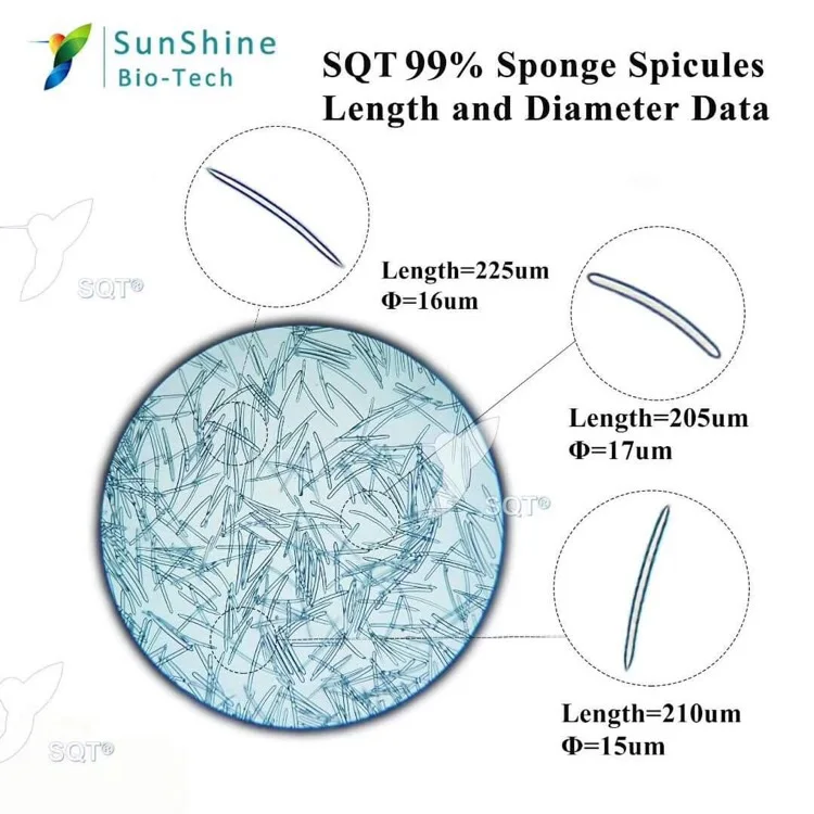 Cosmetics Component Hydrolyzed Sponge Glycoside Spongilla Spicules Powder
