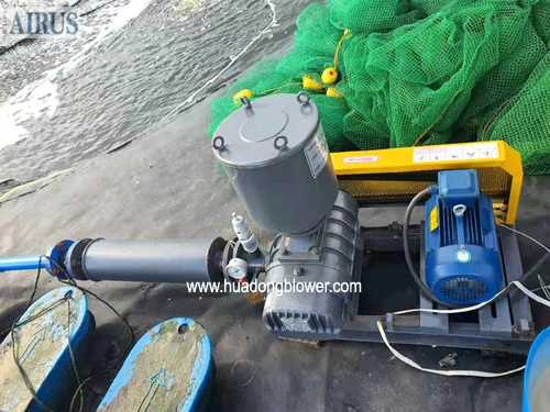 Aeration Three Lobe Industrial Roots Blower 3hp 5hp 10hp Oxygen Supply Good Price for Aquaculture Fish Farm Shrimp Farm