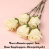 Lotus roses blanches crème 5pcs