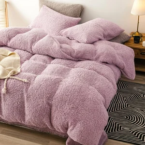 AOKA 100% Polyester Solid Teddy Fleece Duvet Cover 2 Pillowcase Set Printed Queen Size Sheets Warmth Cold Winter Factory Supply