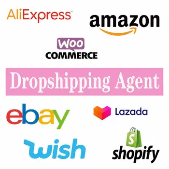 Free Warehouse Shopify Dropship Service Dropshipping Agent Drop Ship Supplier Fast Delivering