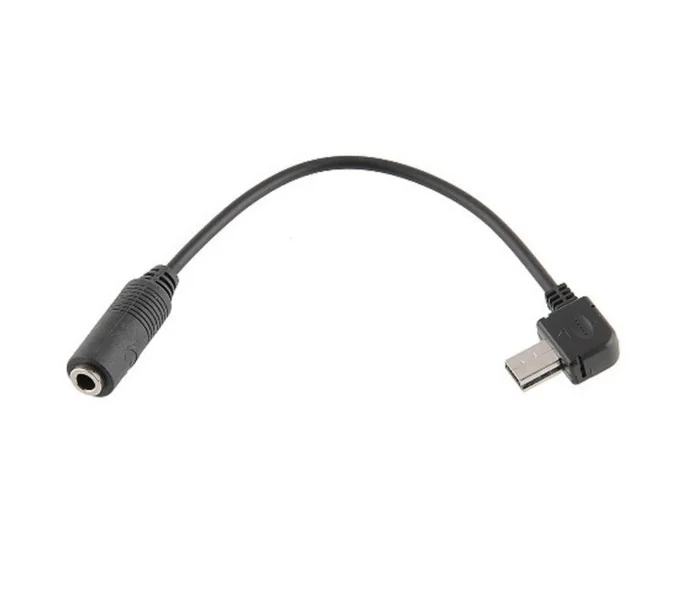 スポーツデジタルカメラ用GoPro Hero 3 3 4用ミニUSB3.5mmマイク