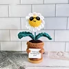 White glasses daisies plant(no base)