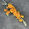 4# arancione